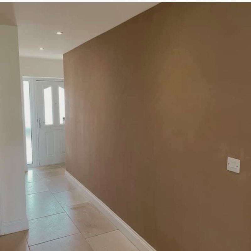 ops plastering hastings